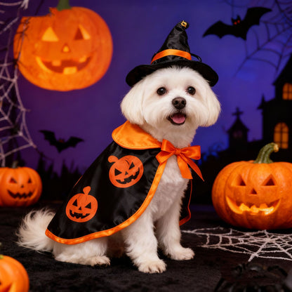Halloween Pet Costume Cape & Hat